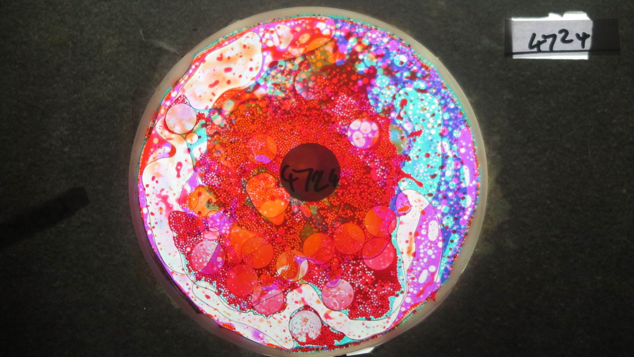 BV4724 bubble vision oil wheel